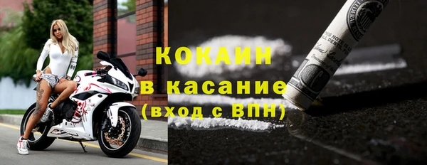 прущие грибы Покачи