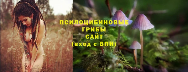 стаф Богородицк