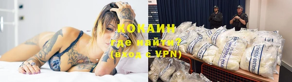 соль ск Богданович
