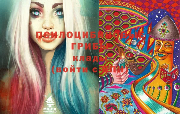 стаф Богородицк