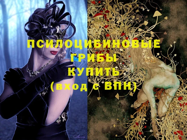 соль ск Богданович