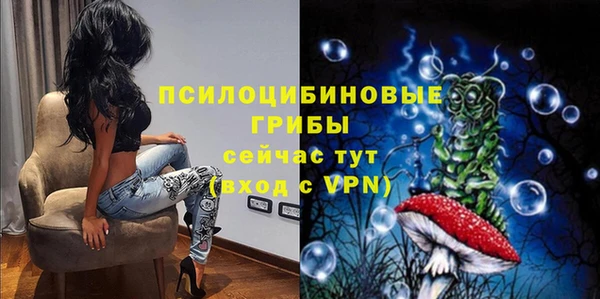 стаф Богородицк
