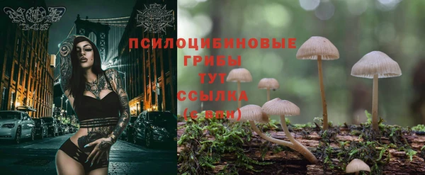 стаф Богородицк