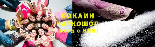 стаф Богородицк